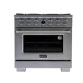 36 5.2 cu. ft. 6 Burner Natural Gas Dual Fuel Range Stainless Steel F1423